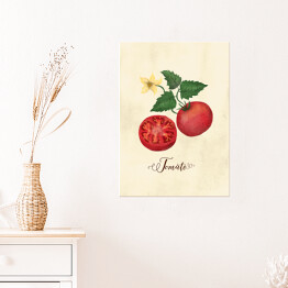 Plakat Ilustracja - pomidor