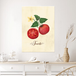Plakat Ilustracja - pomidor