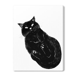 Obraz na płótnie Czarny kot z zawiniętymi łapkami