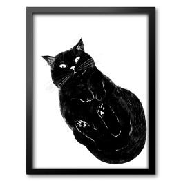 Obraz w ramie Czarny kot z zawiniętymi łapkami