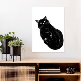 Plakat Czarny kot z zawiniętymi łapkami