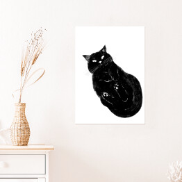 Plakat samoprzylepny Czarny kot z zawiniętymi łapkami