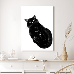 Obraz na płótnie Czarny kot z zawiniętymi łapkami