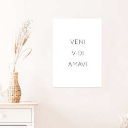 Plakat "Veni Vidi Amavi"- typografia