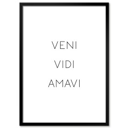 Obraz klasyczny "Veni Vidi Amavi"- typografia