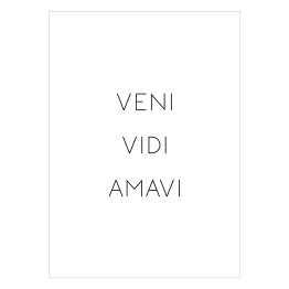 Plakat "Veni Vidi Amavi"- typografia