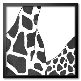 Obraz w ramie Czarno białe żyrafy - akwarela