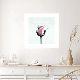 Plakat samoprzylepny Samotna róża