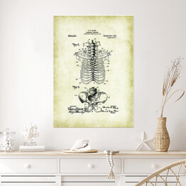 Plakat C. E. Fleck - ludzka anatomia - rycina