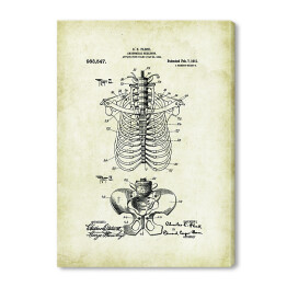 Obraz na płótnie C. E. Fleck - ludzka anatomia - rycina