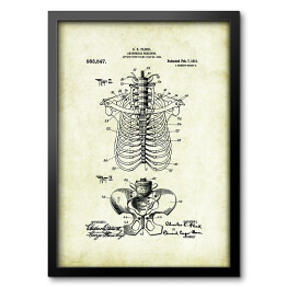 Obraz w ramie C. E. Fleck - ludzka anatomia - rycina