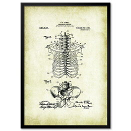 Plakat w ramie C. E. Fleck - ludzka anatomia - rycina