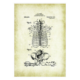 Plakat samoprzylepny C. E. Fleck - ludzka anatomia - rycina