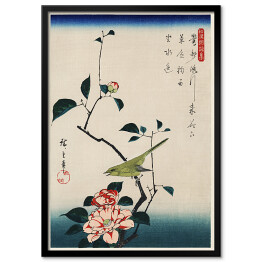 Plakat w ramie Utugawa Hiroshige Ilustracja ukiyo-e, kamelia i słowik. Reprodukcja