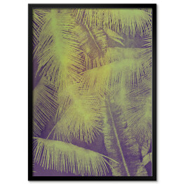 Plakat w ramie Dzika natura - liście dżungli
