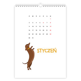Kalendarz 13-stronicowy Kalendarz z psem jamnikiem