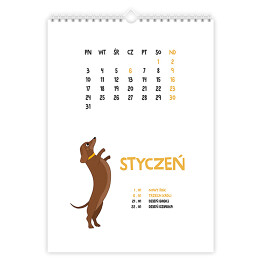 Kalendarz z psem jamnikiem