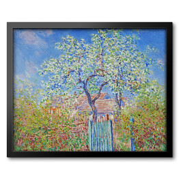 Obraz w ramie Claude Monet Kwitnąca grusza Reprodukcja obrazu