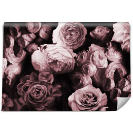 Fototapeta winylowa zmywalna Kolorowe kwiaty na ciemnym tle - chłodny odcień bordo