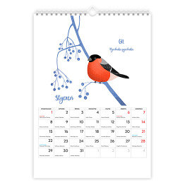 Kalendarz 13-stronicowy Kalendarz z polskimi ptakami 
