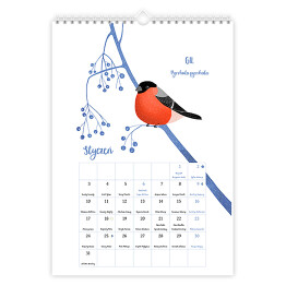 Kalendarz z polskimi ptakami 