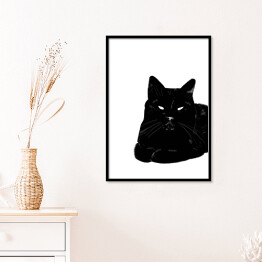 Plakat w ramie Zrelaksowany czarny kot