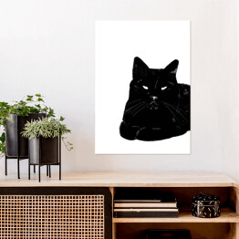 Plakat samoprzylepny Zrelaksowany czarny kot