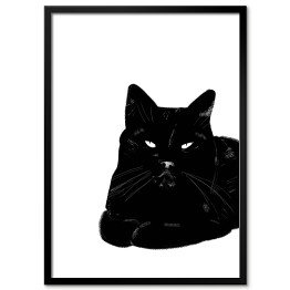 Obraz klasyczny Zrelaksowany czarny kot