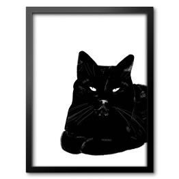 Obraz w ramie Zrelaksowany czarny kot