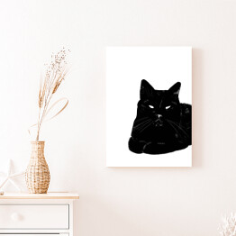 Obraz klasyczny Zrelaksowany czarny kot