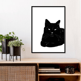 Plakat w ramie Zrelaksowany czarny kot