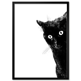 Obraz klasyczny Przestraszony czarny kot