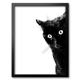 Obraz w ramie Przestraszony czarny kot