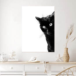 Plakat Przestraszony czarny kot