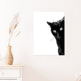 Plakat samoprzylepny Przestraszony czarny kot