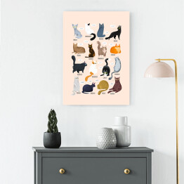 Obraz na płótnie Ilustracja - rasy kotów