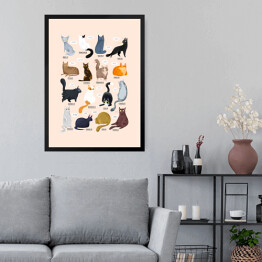 Obraz w ramie Ilustracja - rasy kotów