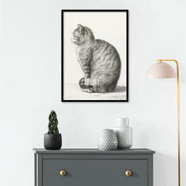Plakat w ramie Jean Bernard Siedzący kot Reprodukcja 