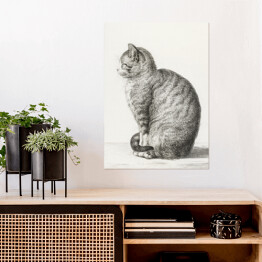 Plakat Jean Bernard Siedzący kot Reprodukcja 