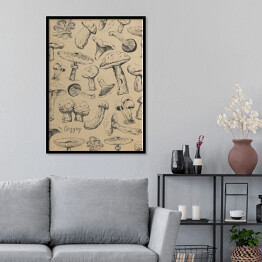 Plakat w ramie Ilustracja - grzyby