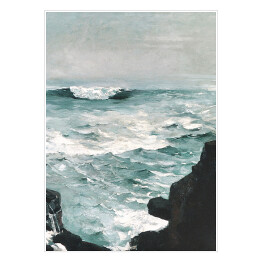 Plakat Winslow Homer. Cannon Rock. Reprodukcja