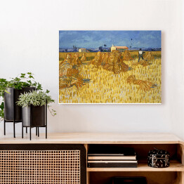 Obraz na płótnie Vincent van Gogh Zbiory kukurydzy w Prowansji. Reprodukcja