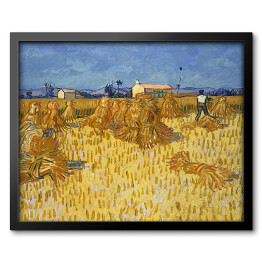 Obraz w ramie Vincent van Gogh Zbiory kukurydzy w Prowansji. Reprodukcja