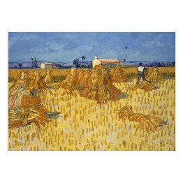 Plakat samoprzylepny Vincent van Gogh Zbiory kukurydzy w Prowansji. Reprodukcja