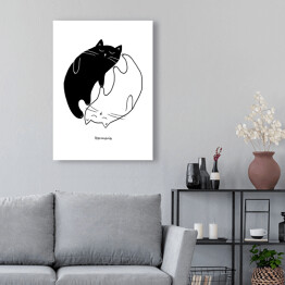 Obraz klasyczny Harmonia yin i yang - koty
