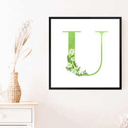 Obraz w ramie Roślinny alfabet - litera U jak ubiorek wieczniezielony