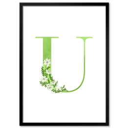 Obraz klasyczny Roślinny alfabet - litera U jak ubiorek wieczniezielony