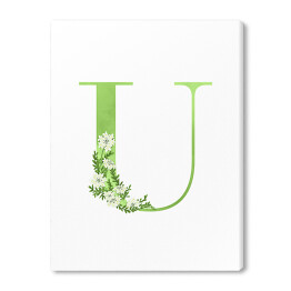 Obraz na płótnie Roślinny alfabet - litera U jak ubiorek wieczniezielony