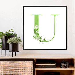Obraz w ramie Roślinny alfabet - litera U jak ubiorek wieczniezielony
