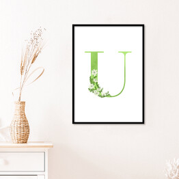 Plakat w ramie Roślinny alfabet - litera U jak ubiorek wieczniezielony